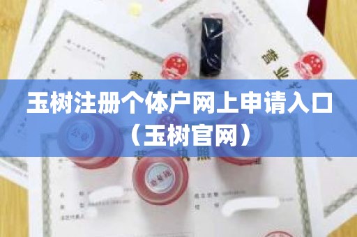 玉树注册个体户网上申请入口（玉树官网）