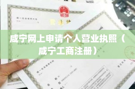 咸宁网上申请个人营业执照（咸宁工商注册）