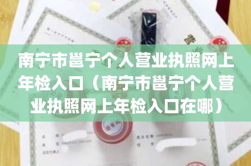 南宁市邕宁个人营业执照网上年检入口（南宁市邕宁个人营业执照网上年检入口在哪）