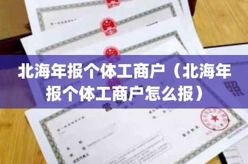 北海年报个体工商户（北海年报个体工商户怎么报）