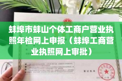 蚌埠市蚌山个体工商户营业执照年检网上申报（蚌埠工商营业执照网上审批）