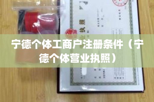 宁德个体工商户注册条件（宁德个体营业执照）