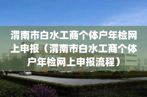 渭南市白水工商个体户年检网上申报（渭南市白水工商个体户年检网上申报流程）