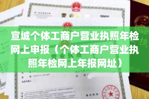 宣城个体工商户营业执照年检网上申报（个体工商户营业执照年检网上年报网址）