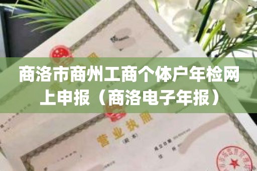 商洛市商州工商个体户年检网上申报（商洛电子年报）