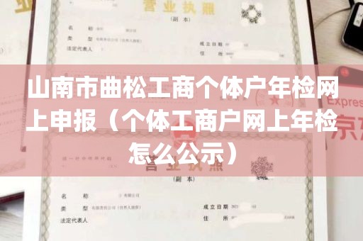 山南市曲松工商个体户年检网上申报（个体工商户网上年检怎么公示）