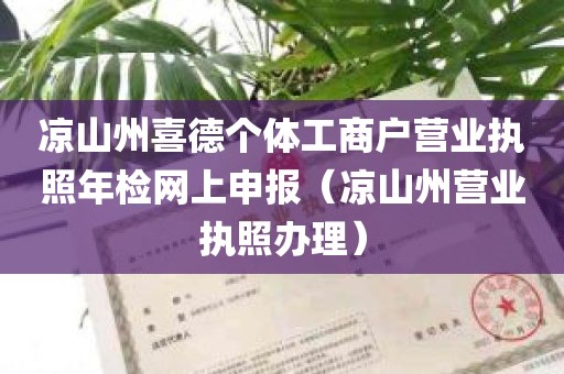 凉山州喜德个体工商户营业执照年检网上申报（凉山州营业执照办理）