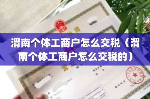 渭南个体工商户怎么交税（渭南个体工商户怎么交税的）