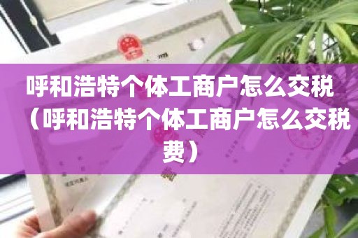 呼和浩特个体工商户怎么交税（呼和浩特个体工商户怎么交税费）