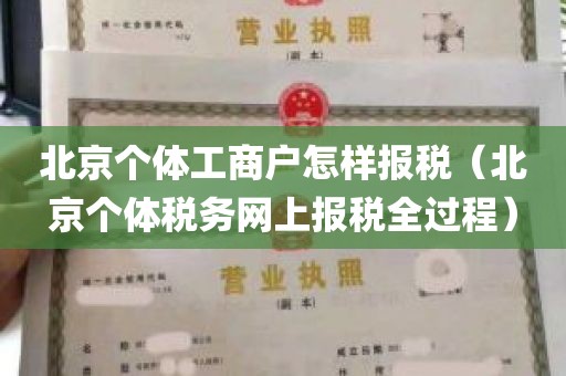 北京个体工商户怎样报税（北京个体税务网上报税全过程）