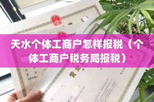 天水个体工商户怎样报税（个体工商户税务局报税）