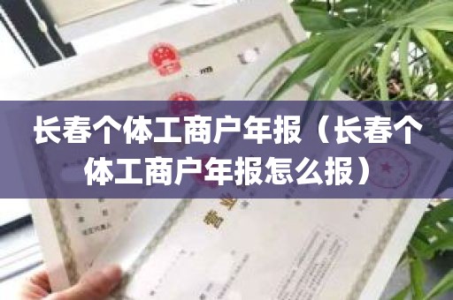 长春个体工商户年报（长春个体工商户年报怎么报）