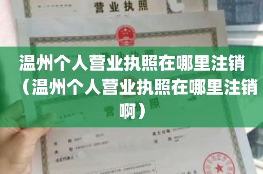 温州个人营业执照在哪里注销（温州个人营业执照在哪里注销啊）