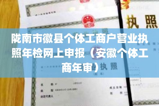 陇南市徽县个体工商户营业执照年检网上申报（安徽个体工商年审）