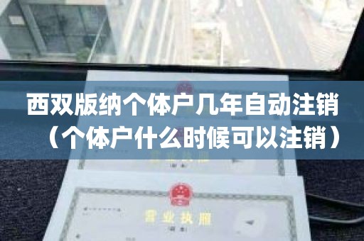 西双版纳个体户几年自动注销（个体户什么时候可以注销）