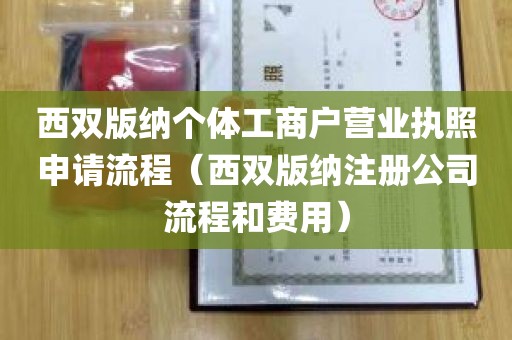 西双版纳个体工商户营业执照申请流程（西双版纳注册公司流程和费用）