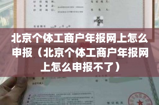 北京个体工商户年报网上怎么申报（北京个体工商户年报网上怎么申报不了）