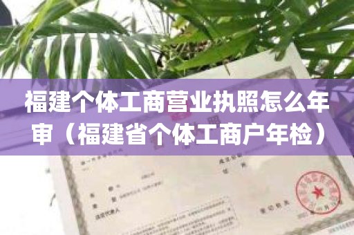 福建个体工商营业执照怎么年审（福建省个体工商户年检）