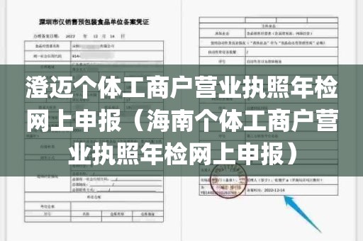 澄迈个体工商户营业执照年检网上申报（海南个体工商户营业执照年检网上申报）