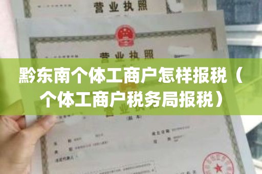 黔东南个体工商户怎样报税（个体工商户税务局报税）