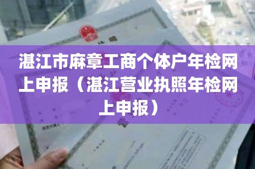 湛江市麻章工商个体户年检网上申报（湛江营业执照年检网上申报）