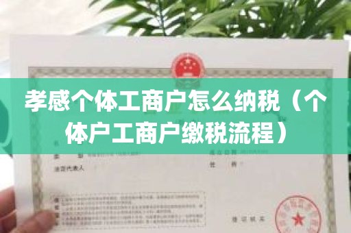 孝感个体工商户怎么纳税（个体户工商户缴税流程）