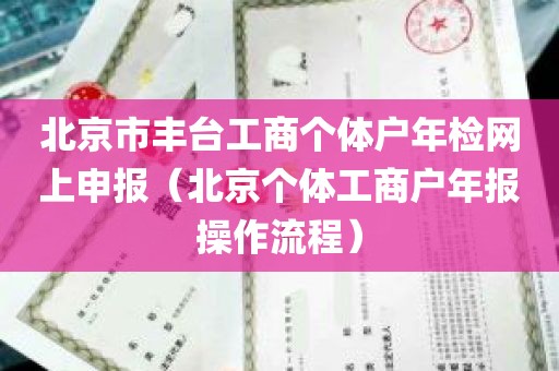 北京市丰台工商个体户年检网上申报（北京个体工商户年报操作流程）