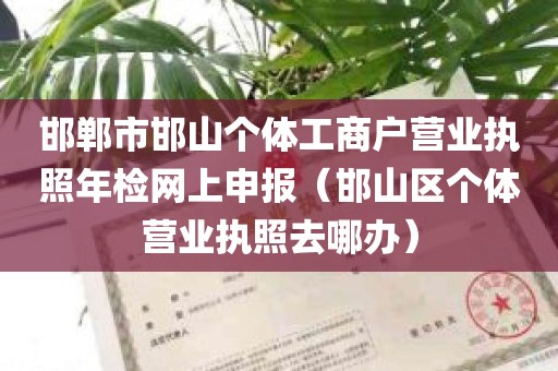 邯郸市邯山个体工商户营业执照年检网上申报（邯山区个体营业执照去哪办）