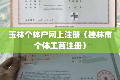 玉林个体户网上注册（桂林市个体工商注册）