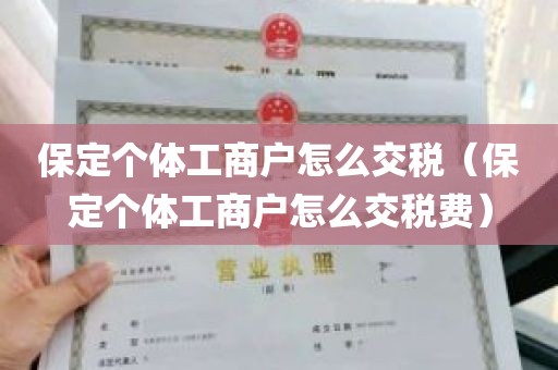 保定个体工商户怎么交税（保定个体工商户怎么交税费）