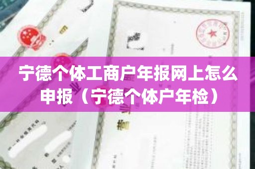 宁德个体工商户年报网上怎么申报（宁德个体户年检）