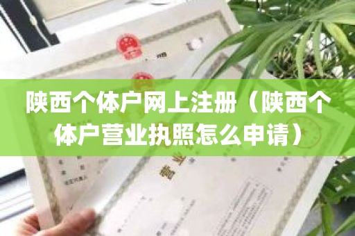 陕西个体户网上注册（陕西个体户营业执照怎么申请）