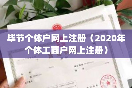 毕节个体户网上注册（2020年个体工商户网上注册）