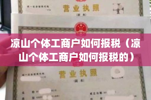 凉山个体工商户如何报税（凉山个体工商户如何报税的）