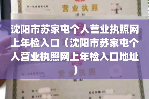 沈阳市苏家屯个人营业执照网上年检入口（沈阳市苏家屯个人营业执照网上年检入口地址）