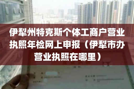 伊犁州特克斯个体工商户营业执照年检网上申报（伊犁市办营业执照在哪里）