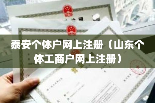 泰安个体户网上注册（山东个体工商户网上注册）