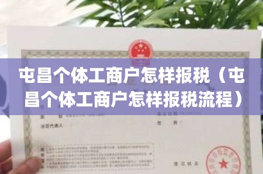 屯昌个体工商户怎样报税（屯昌个体工商户怎样报税流程）