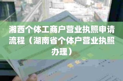 湘西个体工商户营业执照申请流程（湖南省个体户营业执照办理）