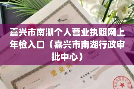 嘉兴市南湖个人营业执照网上年检入口（嘉兴市南湖行政审批中心）