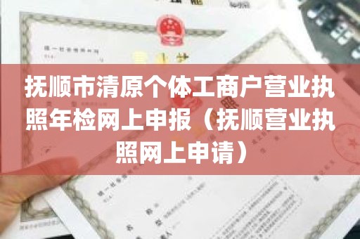 抚顺市清原个体工商户营业执照年检网上申报（抚顺营业执照网上申请）