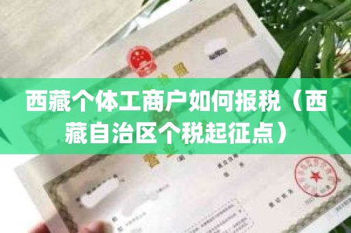 西藏个体工商户如何报税（西藏自治区个税起征点）