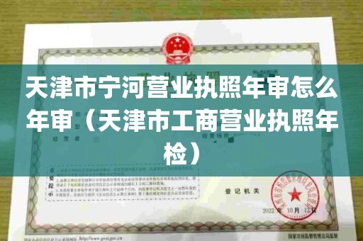 天津市宁河营业执照年审怎么年审（天津市工商营业执照年检）