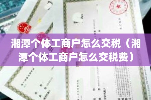 湘潭个体工商户怎么交税（湘潭个体工商户怎么交税费）