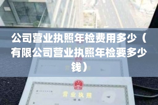 公司营业执照年检费用多少（有限公司营业执照年检要多少钱）