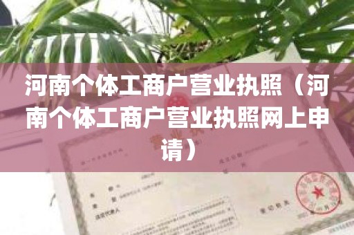 河南个体工商户营业执照（河南个体工商户营业执照网上申请）