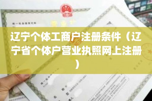 辽宁个体工商户注册条件（辽宁省个体户营业执照网上注册）