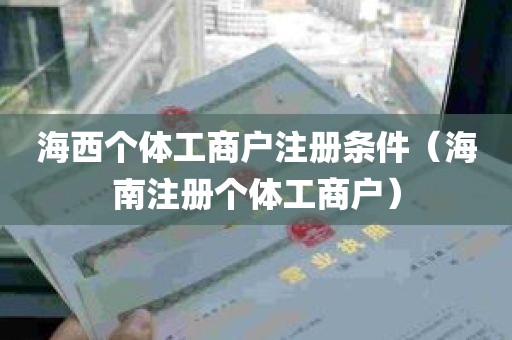 海西个体工商户注册条件（海南注册个体工商户）