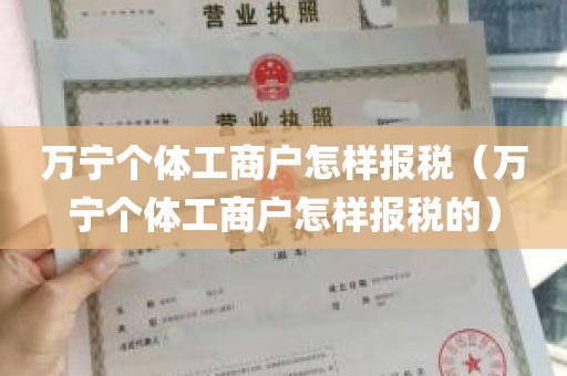 万宁个体工商户怎样报税（万宁个体工商户怎样报税的）