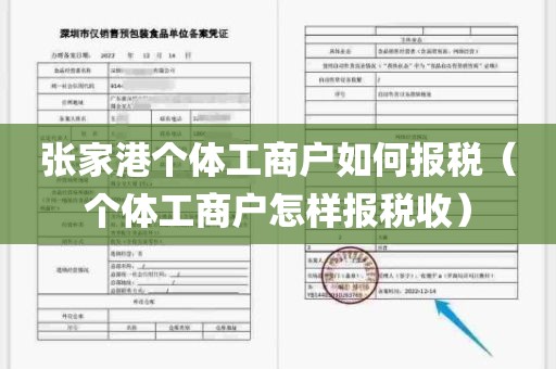 张家港个体工商户如何报税（个体工商户怎样报税收）